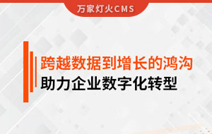 跨越數據到增長的鴻溝，助力企業數字化轉型